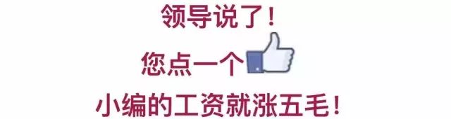 土办法怎么灭苍蝇_土法灭蚊蝇_灭蝇最快土办法