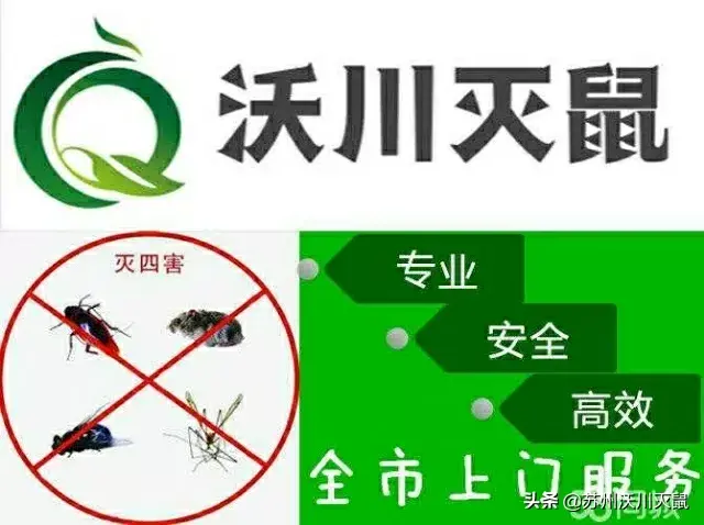 灭臭虫专用杀虫剂品牌_杀虫剂杀臭虫有效果吗_专杀臭虫的杀虫剂