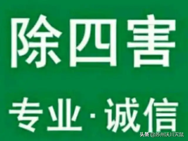 灭臭虫专用杀虫剂品牌_杀虫剂杀臭虫有效果吗_专杀臭虫的杀虫剂
