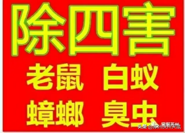 杀虫剂杀臭虫有效果吗_灭臭虫专用杀虫剂品牌_专杀臭虫的杀虫剂