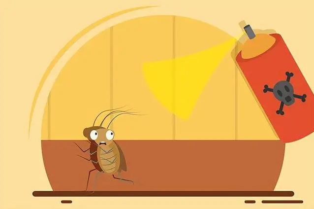 有效灭鼠的方法_怎样灭鼠最快最有效_有效灭鼠神器有哪些