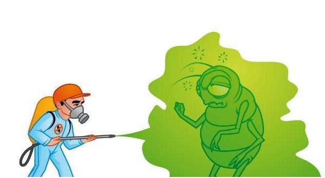 有效灭鼠的方法_有效灭鼠神器有哪些_怎样灭鼠最快最有效