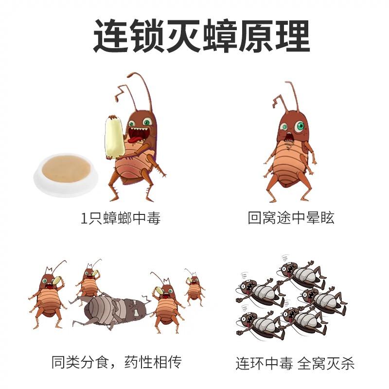 有效灭鼠神器有哪些_怎样灭鼠最快最有效_有效灭鼠的方法