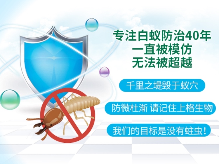 上门灭钱白蚁服务是真的吗_上门灭钱白蚁服务违法吗_灭白蚁上门服务多少钱