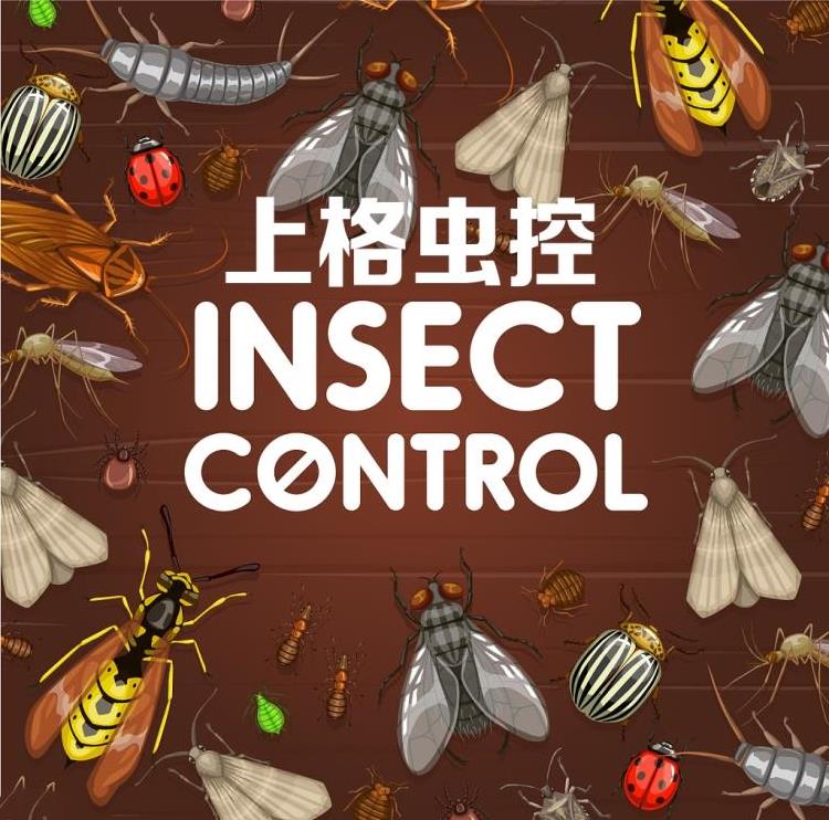 上门灭钱白蚁服务违法吗_上门灭钱白蚁服务是真的吗_灭白蚁上门服务多少钱