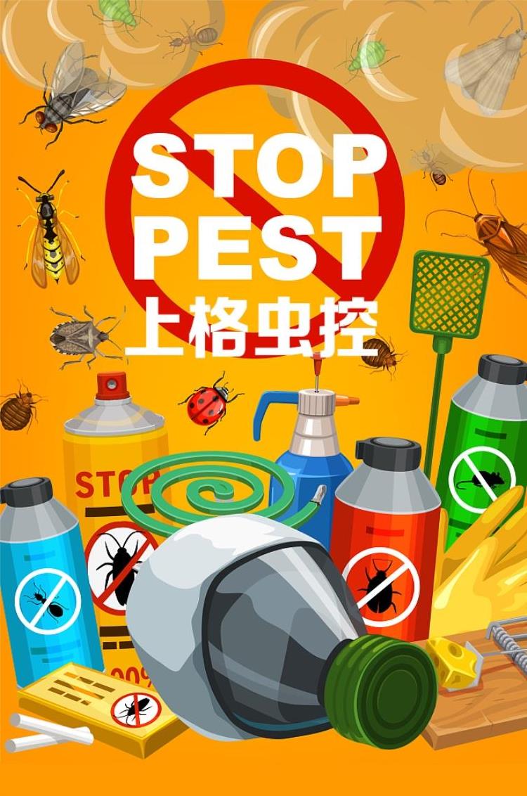 上门灭钱白蚁服务是真的吗_上门灭钱白蚁服务违法吗_灭白蚁上门服务多少钱