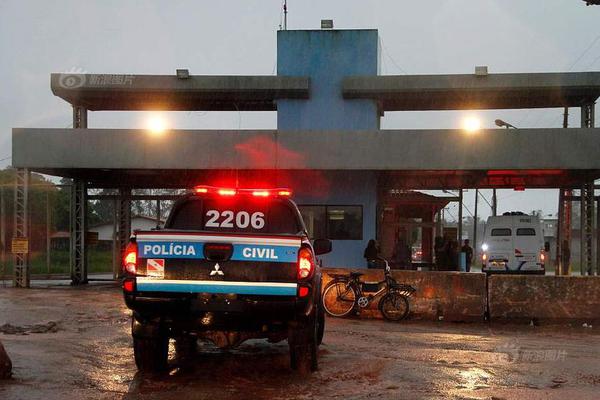 灭苍蝇最有效的方法