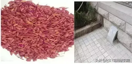 有效灭鼠的措施_有效灭鼠神器_怎样灭鼠最快最有效