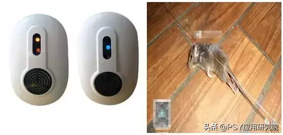 有效灭鼠神器_有效灭鼠的措施_怎样灭鼠最快最有效