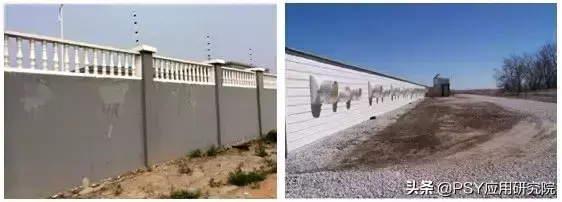 有效灭鼠神器_怎样灭鼠最快最有效_有效灭鼠的措施