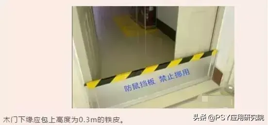 有效灭鼠神器_怎样灭鼠最快最有效_有效灭鼠的措施