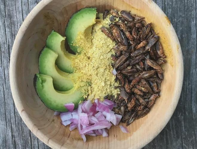 灭臭虫效果最好的药_灭臭虫用什么药和什么办法_灭臭虫方案