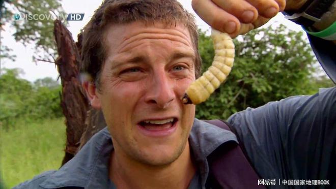 灭臭虫用什么药和什么办法_灭臭虫方案_灭臭虫效果最好的药