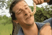 灭臭虫用什么药和什么办法_灭臭虫效果最好的药_灭臭虫方案