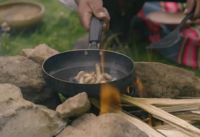 灭臭虫效果最好的药_灭臭虫用什么药和什么办法_灭臭虫方案