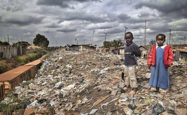 小的臭虫_小型臭虫怎么消灭_小型臭虫