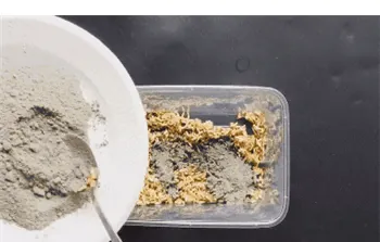 简单有效的老鼠药配方