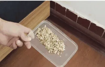 简单有效的老鼠药配方