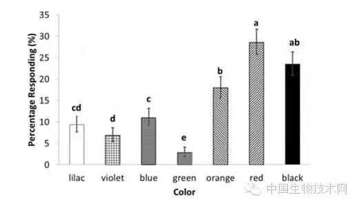 小型臭虫怎么消灭_小的臭虫_小型臭虫