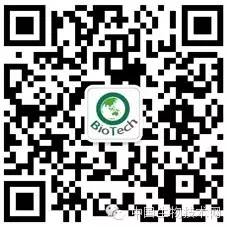 小型臭虫_小的臭虫_小型臭虫怎么消灭