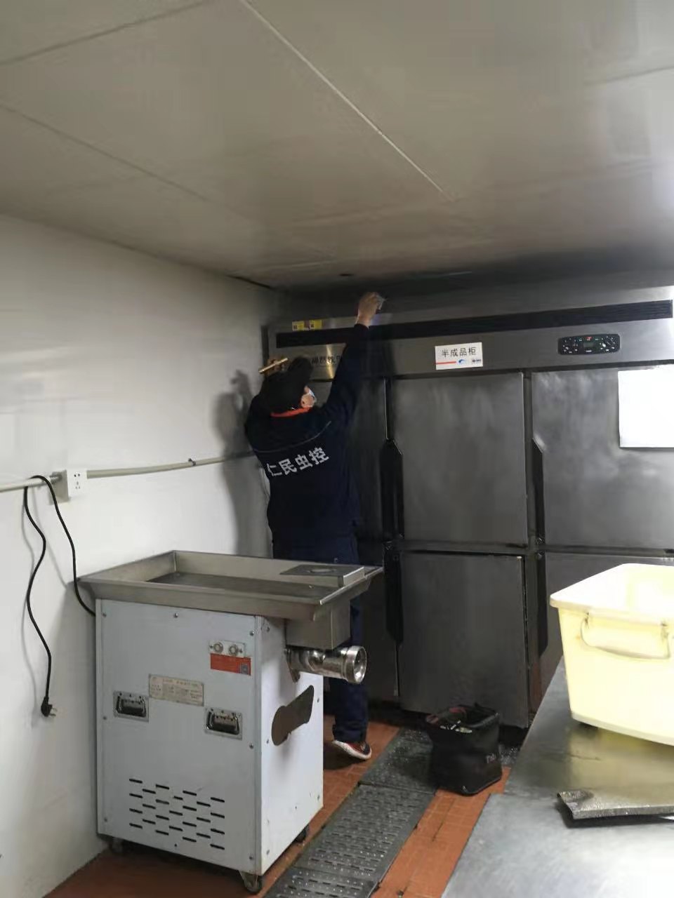 郫县家庭杀虫灭白蚁服务