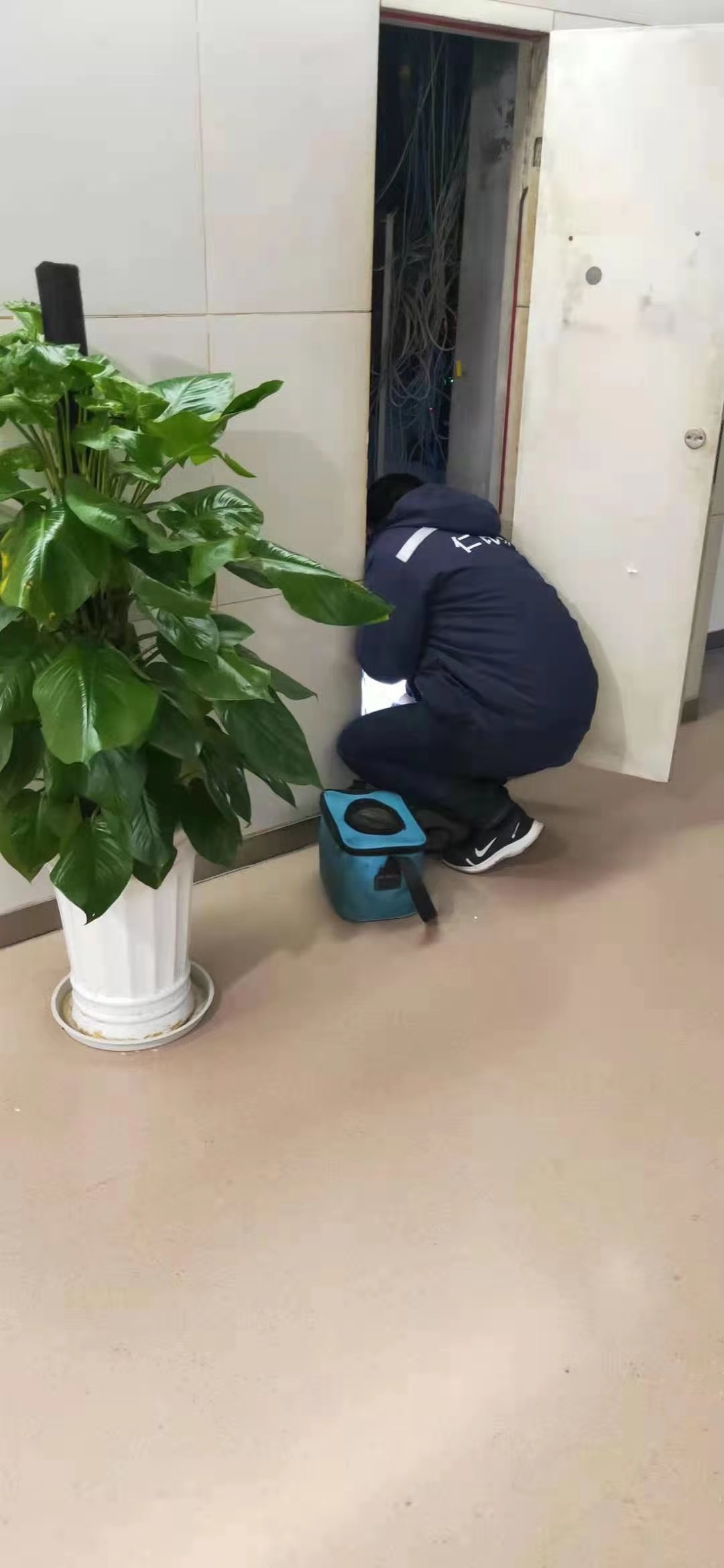 郫县家庭杀虫灭白蚁服务