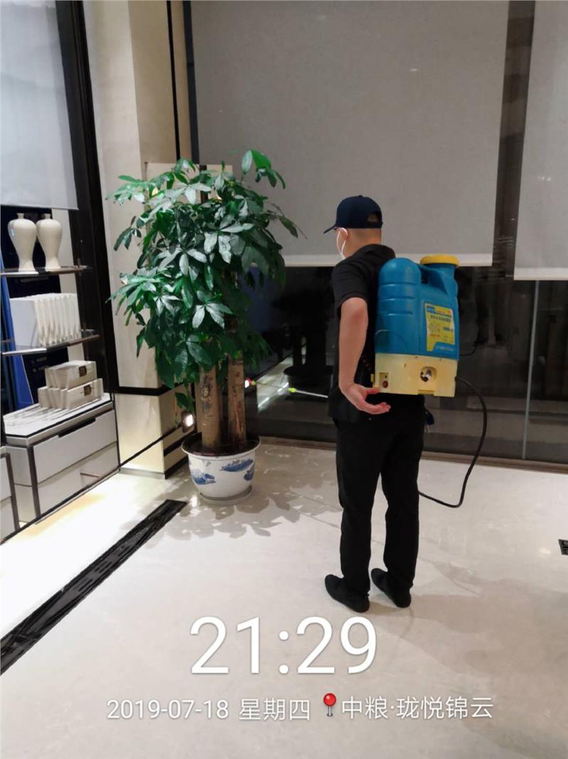 广元办公室除白蚁服务