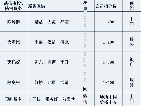 小的臭虫_小型臭虫怎么消灭_小型臭虫