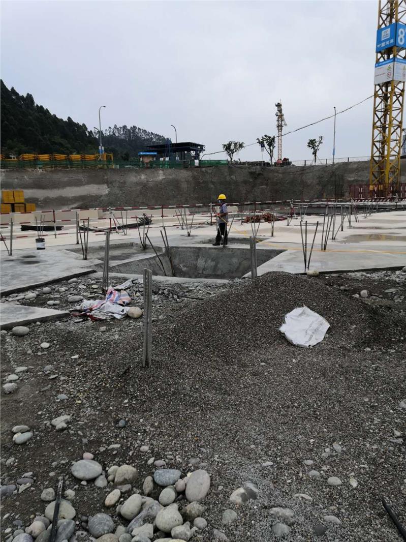 大邑幼儿园灭白蚁公司