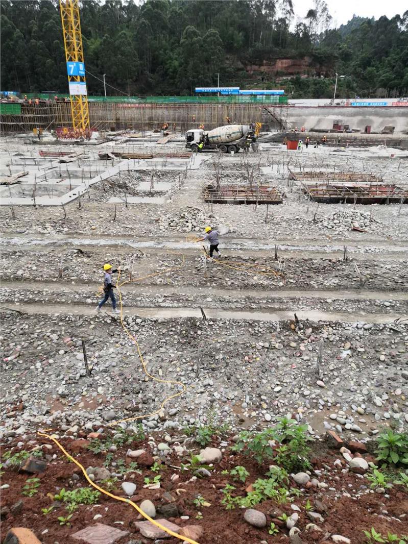 大邑幼儿园灭白蚁公司