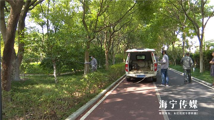 灭白蚁_专业灭白蚁团队_灭白蚁部门