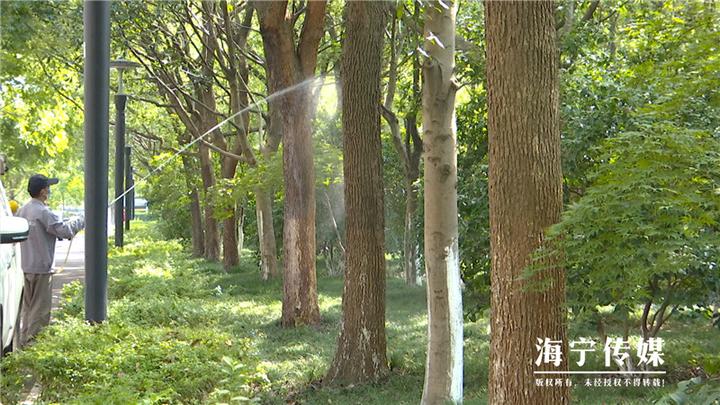 灭白蚁部门_灭白蚁_专业灭白蚁团队