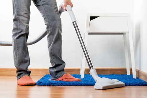 消灭彻底跳蚤的办法_消灭彻底跳蚤的药_跳蚤怎么彻底消灭