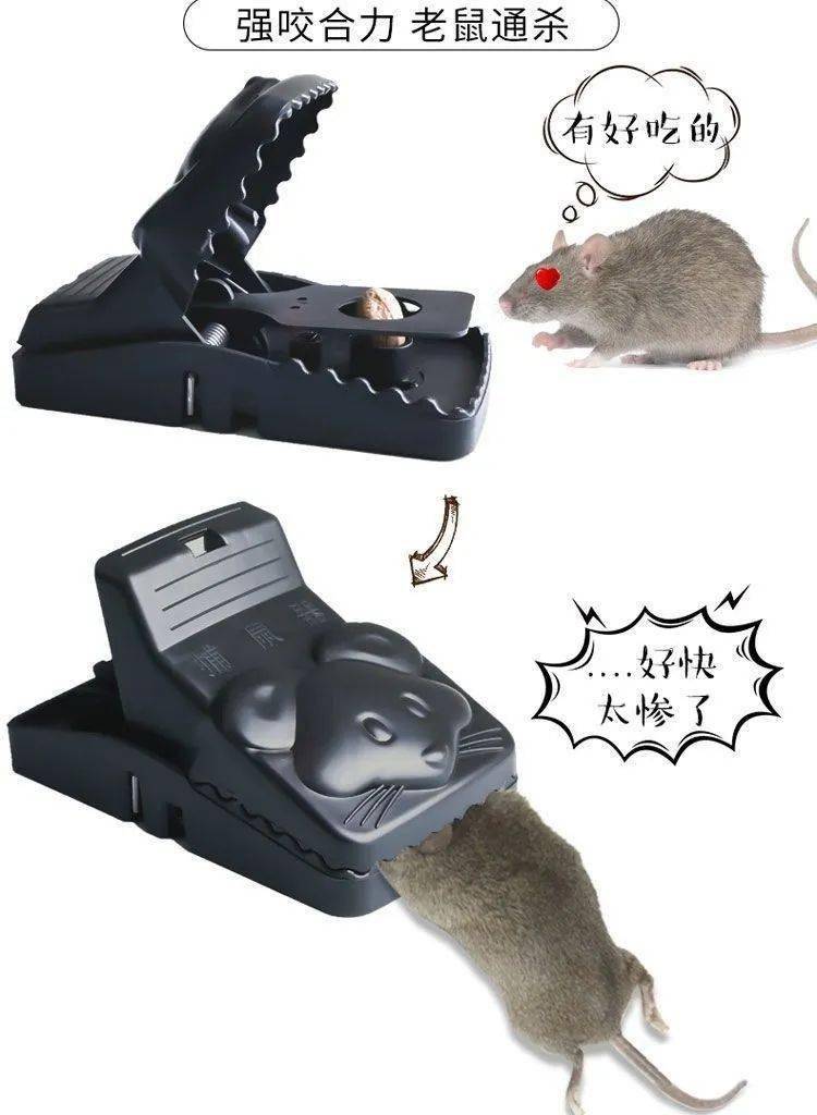 老鼠驱鼠怕种方法图片_老鼠最怕的10种驱鼠方法_老鼠驱鼠怕种方法有哪些