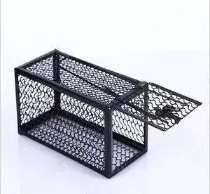 老鼠最怕的10种驱鼠方法_老鼠驱鼠怕种方法图片_老鼠驱鼠怕种方法有哪些