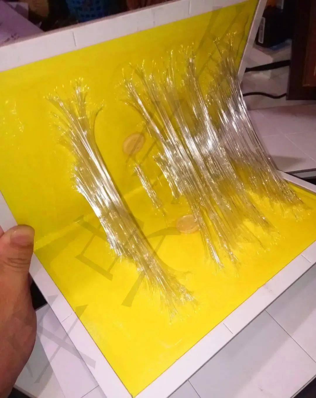 老鼠驱鼠怕种方法有哪些_老鼠最怕的10种驱鼠方法_老鼠驱鼠怕种方法图片