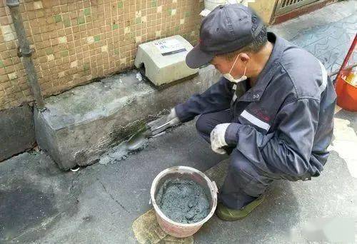 老鼠最怕的10种驱鼠方法_老鼠驱鼠怕种方法图片_老鼠驱鼠怕种方法有哪些