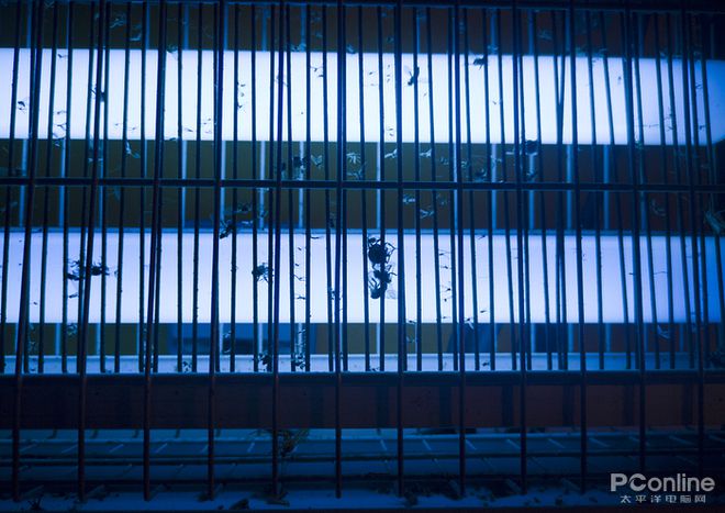 什么草药蚊子怕_灭蚊子的药对人有害吗_灭蚊子最怕的三种药