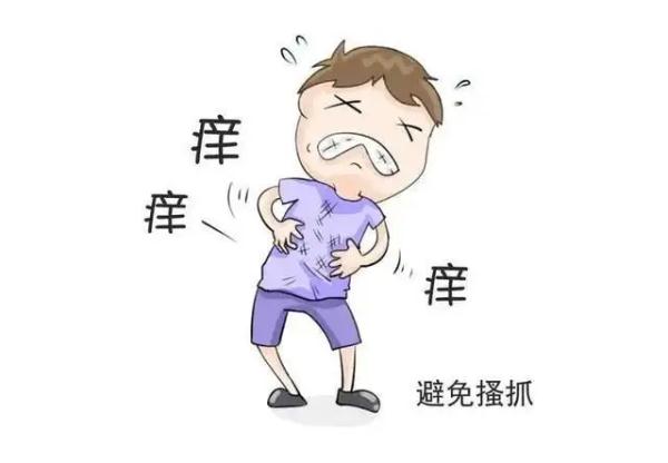 灭臭虫方法_如何杀灭臭虫害虫防治_怎么灭臭虫最快最有效