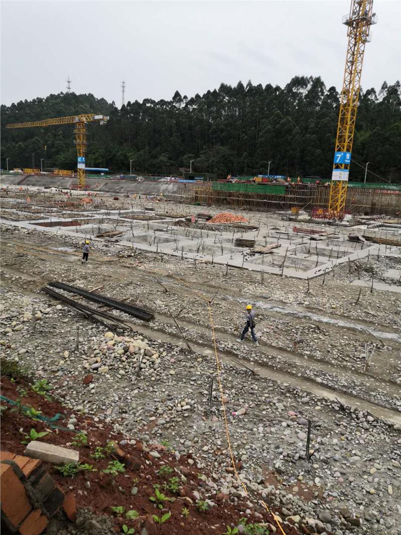 南充餐厅除白蚁服务