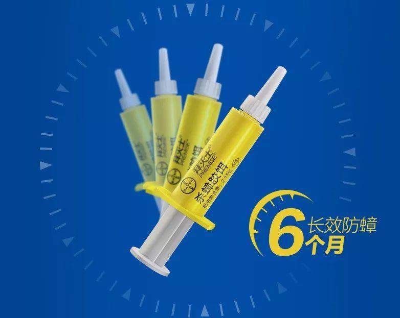 灭白蚁农药_灭白蚁专用药_灭专用药白蚁怎么办