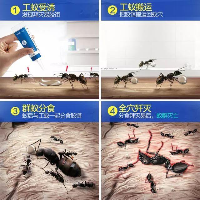 灭白蚁专用药_灭白蚁农药_灭专用药白蚁怎么办