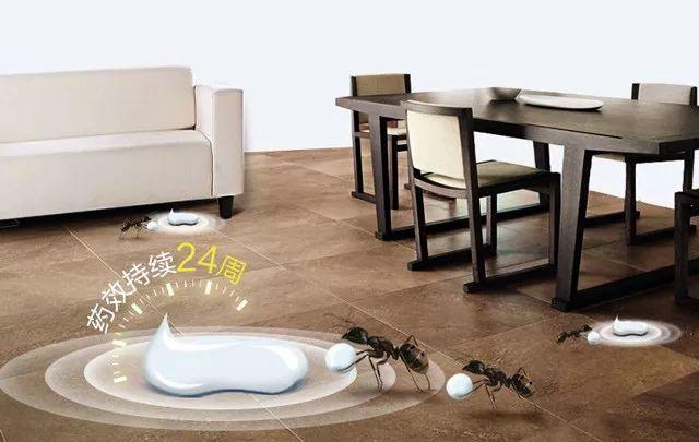 灭白蚁农药_灭白蚁专用药_灭专用药白蚁怎么办