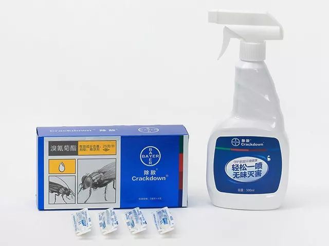 灭专用药白蚁怎么办_灭白蚁专用药_灭白蚁农药