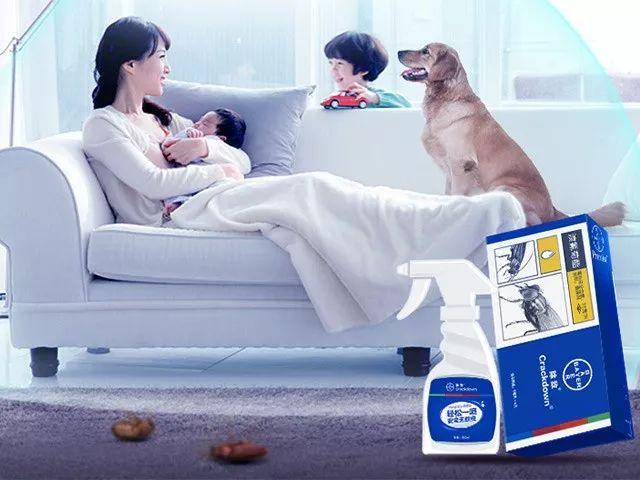 灭白蚁专用药_灭专用药白蚁怎么办_灭白蚁农药