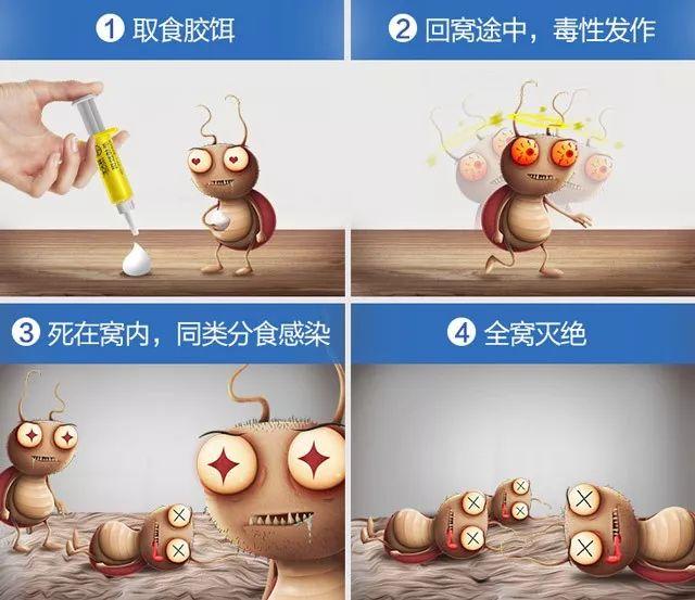 灭白蚁农药_灭白蚁专用药_灭专用药白蚁怎么办