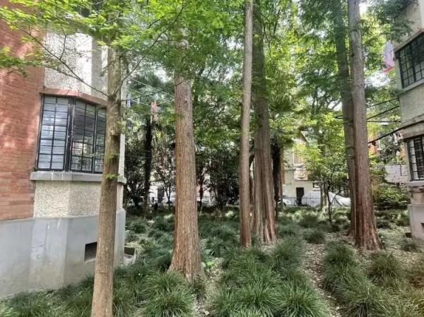 灭杀白蚁药_灭白蚁药的主要成分_灭白蚁专用药