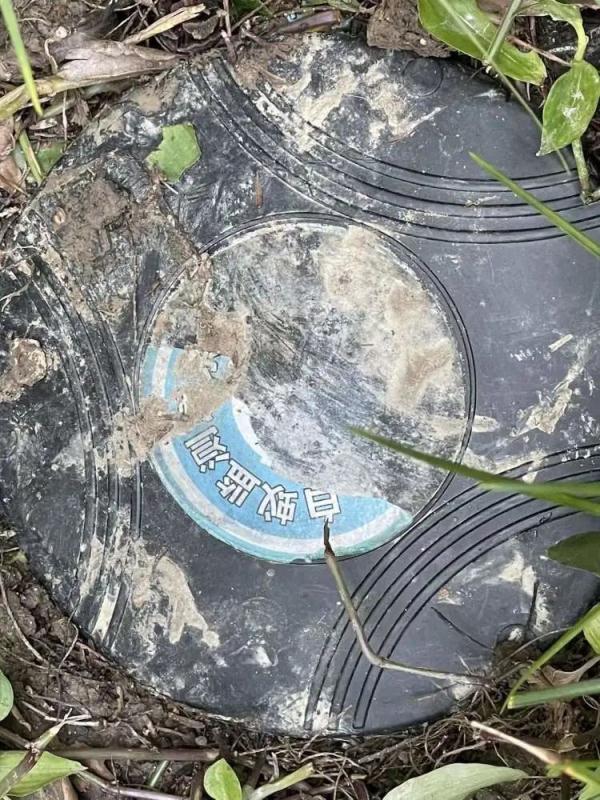 灭杀白蚁药_灭白蚁专用药_灭白蚁药的主要成分