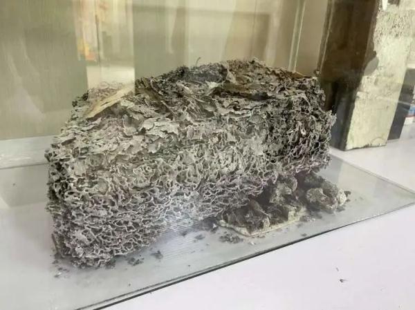 灭白蚁药的主要成分_灭杀白蚁药_灭白蚁专用药