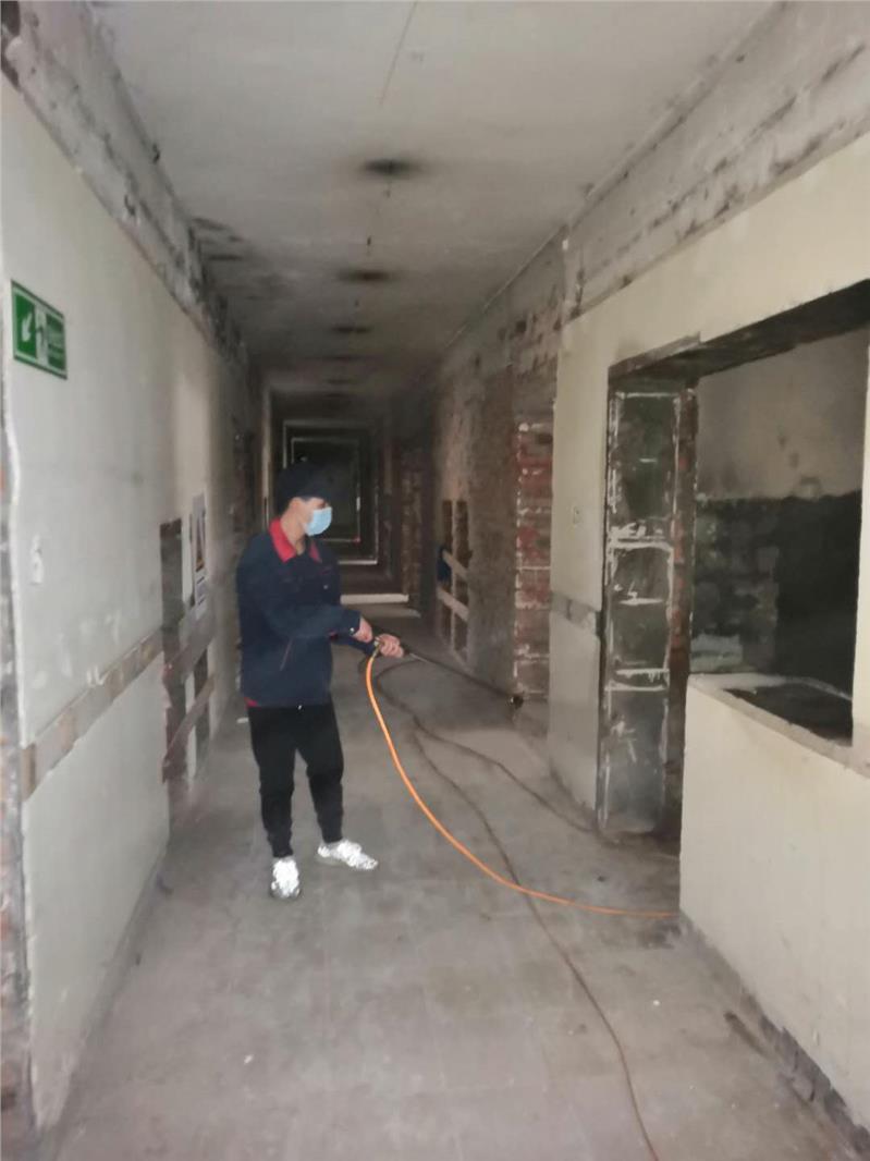 金堂办公室灭白蚁公司